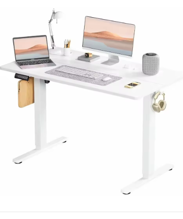 Standing Desk, Adjustable Height Electric Sit Stand Up Down Computer Table, 48x24 Inch Ergonomic Rising Desks（White）