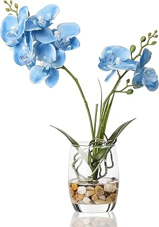 Jusdreen 1 Pcs Glass Vase Artificial Orchid Flower Bonsai Vivid Phalaenopsis Flowers Potting for Home Office Décor,Table Centerpiece Room Decorations 14.5 INCH (Glass Vase/Blue Orchid)